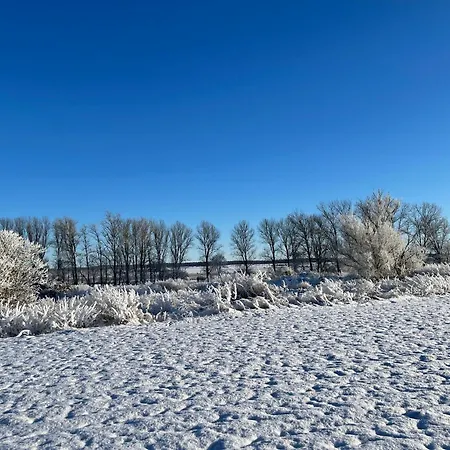 לינה וארוחת בוקר Neu! Ulenhuus Mecklenburgische Schweiz Laage Guestrow Rostock Port -