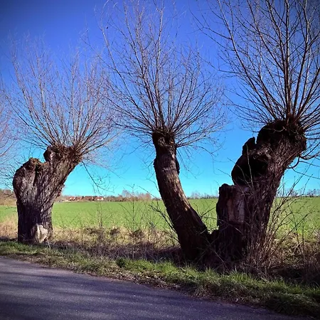 Neu! Ulenhuus Mecklenburgische Schweiz Laage Guestrow Rostock Port - *