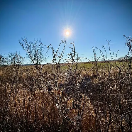 Neu! Ulenhuus Mecklenburgische Schweiz Laage Guestrow Rostock Port - לינה וארוחת בוקר