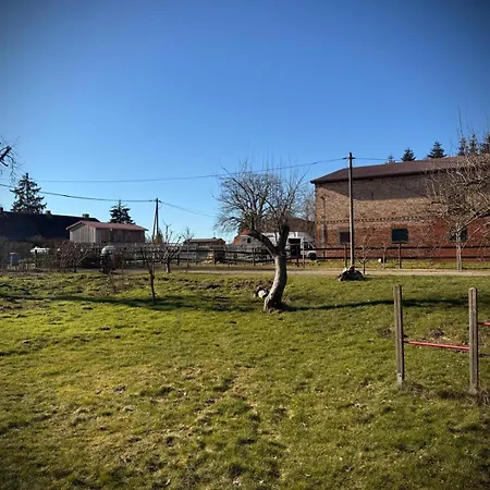 לינה וארוחת בוקר Neu! Ulenhuus Mecklenburgische Schweiz Laage Guestrow Rostock Port -