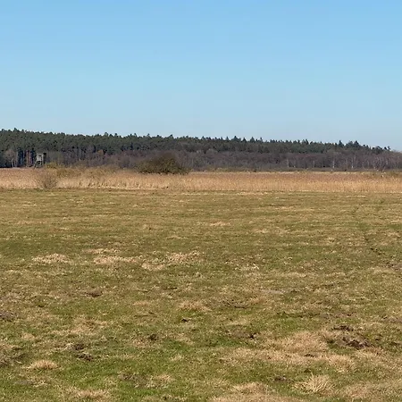 Ulenhuus Mecklenburgische Schweiz Airport Laage, Barlachstadt Guestrow, Rostock Port - * Kuhs