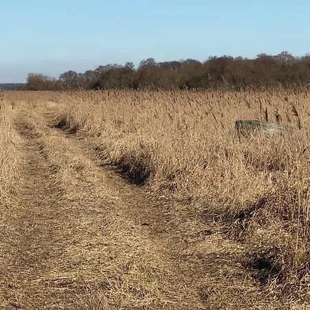 Neu! Ulenhuus Mecklenburgische Schweiz Laage Guestrow Rostock Port - Kuhs