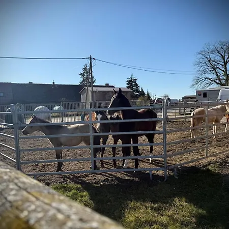 Neu! Ulenhuus Mecklenburgische Schweiz Laage Guestrow Rostock Port - *