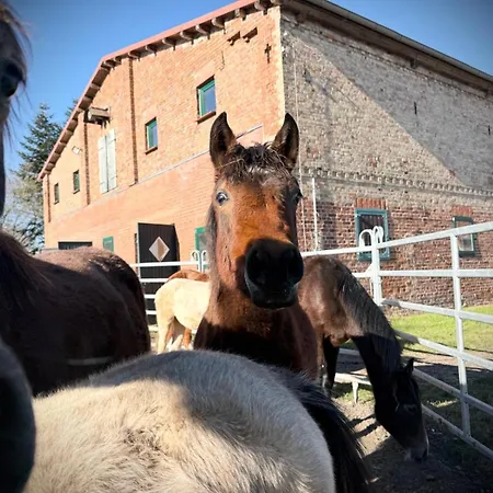 Neu! Ulenhuus Mecklenburgische Schweiz Laage Guestrow Rostock Port - *