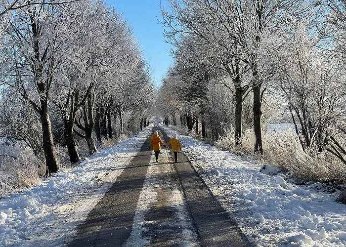 Panzió Neu! Ulenhuus Mecklenburgische Schweiz Laage Guestrow Rostock Port - Kuhs