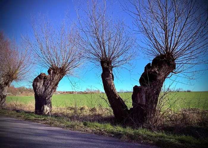 Neu! Ulenhuus Mecklenburgische Schweiz Laage Guestrow Rostock Port - *