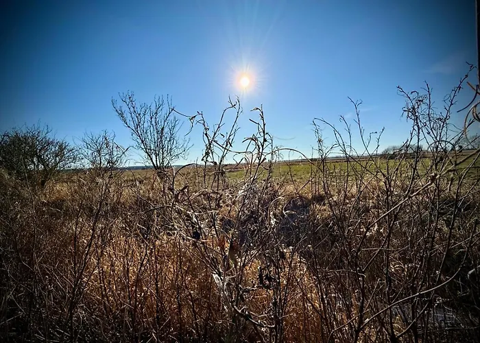 Neu! Ulenhuus Mecklenburgische Schweiz Laage Guestrow Rostock Port - Panzió