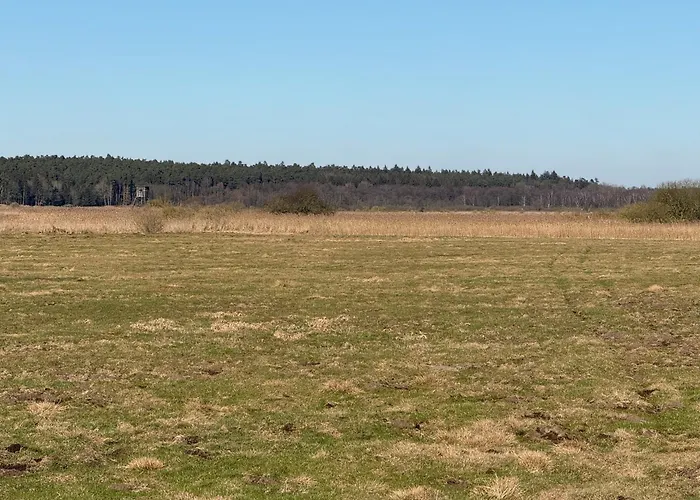 Neu! Ulenhuus Mecklenburgische Schweiz Laage Guestrow Rostock Port - * Kuhs