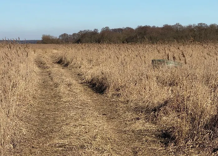 Neu! Ulenhuus Mecklenburgische Schweiz Laage Guestrow Rostock Port - Kuhs
