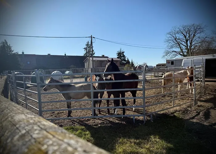 Neu! Ulenhuus Mecklenburgische Schweiz Laage Guestrow Rostock Port - *