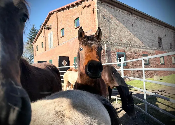 Neu! Ulenhuus Mecklenburgische Schweiz Laage Guestrow Rostock Port - *